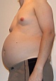 bauch19