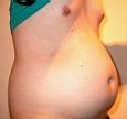 bauch12